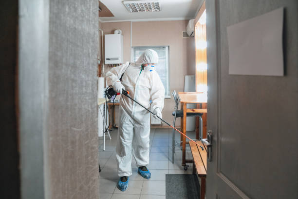 Environmental Consulting for Mold Prevention in Bridgeton, MO